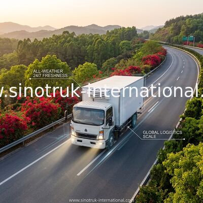 SINOTRUK HOWO 10 ตันรถบรรทุกห้องเย็น 160HP RHD