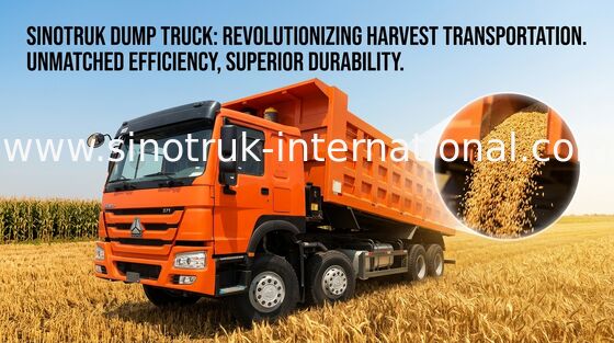 Dump Truck SINOTRUK HOWO 371HP 12 Wheels LHD 31tons 20-30CBM  ZZ3317N3867W