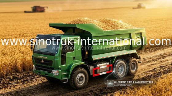 Heavy Duty SINO HOWO รถบรรทุก / รถบรรทุก 10 ล้อรถบรรทุก 371HP การสิ้นเปลืองน้ำมันเชื้อเพลิงต่ำ