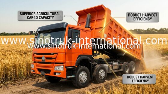 รถดัมพ์ SINOTRUK HOWO 371HP 12 ล้อ LHD 31 ตัน 20-30CBM ZZ3317N3567W